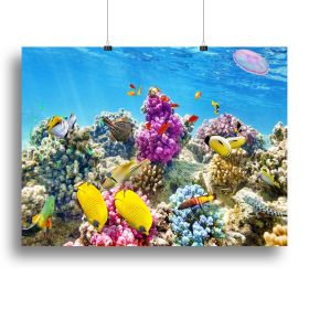 Wonderful and beautiful underwater Canvas Print or Poster (Type: Poster Print, size: 16" x 12" / 42cm x 30cm (approx))